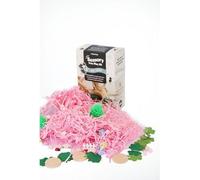 Jellystone Designs Fairy Garden Kit sensoriel pour Enfant à partir de 3 Ans et Plus