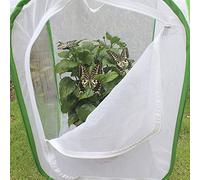 Jelquix Cage à Insectes Pliable avec Panneaux en et Fermeture éclair pour Une Alimentation et Une Observation Faciles de Divers Insectes, 60 X 60 X 90 Cm
