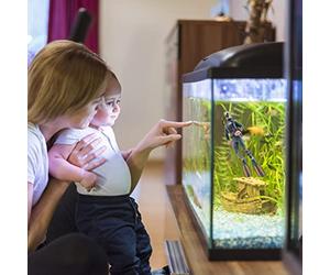 Jelquix Mini Figurines de Plongée pour Enfants, Ensemble de 4 Pièces | Modèles sous-marins en PVC peints à la main, décor de scène de plongée