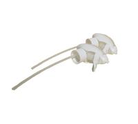 Jemako Arrosoir pour pistolet à mousse pour bouteilles de 500 ml - Lot de 2