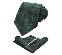 JEMYGINS Cravate Homme Encrer en Soie Paisley et Pinces à cravate et Carre de poche Emsemble