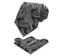 JEMYGINS Cravate Homme Noir en Soie Paisley et Pinces à cravate et Carre de poche Emsemble