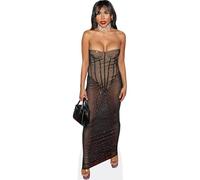 JENA Larose (Sheer Dress) Silhouette en Carton Taille Mini