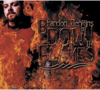 Jenkins, Brandon - Down in Flames
