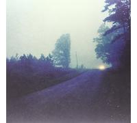 Jenks Miller (Horseback)/James Toth (Wooden Wand) - Roads to Ruin Lp