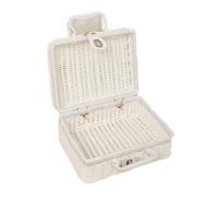 Jenngaoo Boîte de Pique-Nique rétro en rotin, Valise de Pique-Nique tressée en Plastique avec poignée en Forme d'anneau, boîte de Rangement Portable en rotin tressé pour Pique-Nique en (Blanc M)