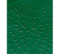 Jennifer Guidi: Heliocentric