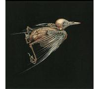 Jenny Hval & Susanna – Meshes of Voice – CD