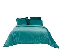 Jenny Sesal Parure de lit en Velours Sophia Couette Douce et élégante Velours sur Le Dessus et Microfibre sous - Ensemble de Couette et taies d'oreiller (Double, Vert Tiffany)