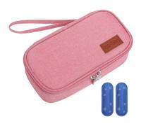 Jeorywoet Sac Isotherme pour Lait Maternel, avec 2 Blocs de Glace, Tissu Oxford isolé, 8, 3x4, 3x2, 6 Pouces, avec lanière, Fermeture éclair étanche, glacière Portable