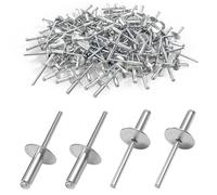 Jerhyun 120 Pièces Rivet Pop, Rivets Aveugle en Aluminium Applicable Appareils Électroménagers, Véhicules Moteur et Équipements Mécaniques (4.8x16x16mm)