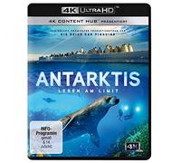 Antarktis – Leben am Limit – Jérome Bouvier – Blu-ray 4K Ultra-HD – Import