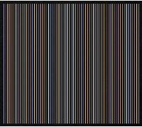 Jérôme Noetinger & Anthony Pateras - 15 Coruscations [Import]