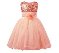 JerrisApparel Petite Fille Paillette Fête Fleur Robe de Cérémonie Bal Banquet Tulle