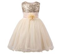 JerrisApparel Petite Fille Paillette Fête Fleur Robe de Cérémonie Bal Banquet Tulle