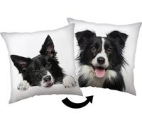 Jerry Fabrics Coussin décoratif 40x40 Border collie blanc noir JF24