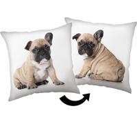 Jerry Fabrics Coussin décoratif 40x40 Bulldog blanc beige JF24