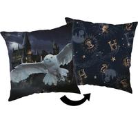 Jerry Fabrics Coussin décoratif 40x40 Harry Potter Poudlard graphite JF24