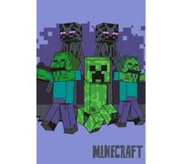 Jerry Fabrics Minecract Couverture polaire super douce 100 x 150 cm Cadeau pour enfants, adolescents et adultes Couvre-lit