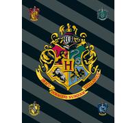 Jerry Fabrics Couverture en polaire 100x150 Harry Potter 0226 couverture pour bébé