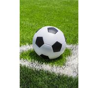 Jerry Fabrics Couverture polaire 100x150 Vert football JF24