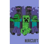 Jerry Fabrics Minecract Couverture polaire super douce 100 x 150 cm Cadeau pour enfants, adolescents et adultes Couvre-lit