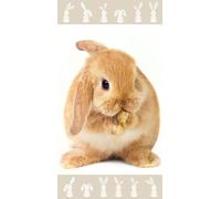 Jerry Fabrics Serviette de plage 70x140 Bunny brown beige Bunny brown 8827