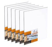 Jerry's Artarama Da Vinci Aqua Pro Lot de 6 panneaux aquarelle rigides de 0,3 cm d'épaisseur avec surface sans acide, gesso infusé à l'argile, idéal pour peindre des supports mixtes 35,6 x 45,7 cm