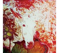 Jerusalem in My Hear - If He Dies, If If If If If If [New Vinyl LP]