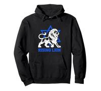 Jérusalem Israël Lion Rising Juif Star of David Vintage Sweat à Capuche