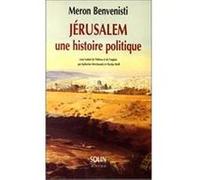 Jérusalem, Une histoire politique Meron Benvenisti (Auteur), Nicolas Weil (Traduction), Katherine Werchowski (Traduction)