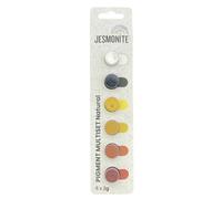 Jesmonite Pigments Barrette 6x2g Naturel