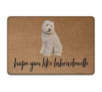 J'Espère Que Vous Aimez Labradoodle, Tapis Amusants pour Chiens Tapis De Porte Confortable Tapis De Bain Anti-Poussière Paillasson De Bienvenue pour Salon Intérieur Bain 40X60Cm