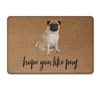 J'Espère Que Vous Aimez Le Carlin, Tapis pour Chien Drôle Paillasson De Bienvenue Doux Tapis De Bain Antidérapant Tapis De Porte pour Bain D'Entrée Intérieur 40X60Cm