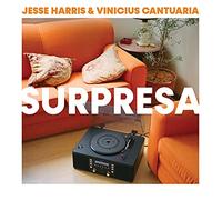 Jesse Harris;Vinicius Cantuaria - Surpresa