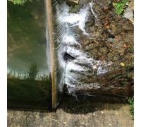 Jessica Moss Phosphenes (Vinyl) 12" Album