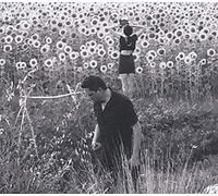 Jesu Sun Kil Moon – America's Most Wanted – CD