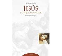 Jesús, El Hijo Salvador - [Livre en VO] Ducay Real, Antonio (Auteur)