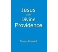 Jesus In The Divine Providence