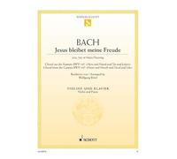 Jésus que ma joie demeure: Choral issu de la cantate BWV 147. BWV 147. violin and piano.