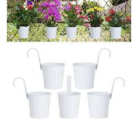 Jesustree Pots de Fleurs Suspendus en Métal avec Trou de Drainage, 5 Pièces Porte Plante Vase avec Crochet Détachable, Décoration Porte-Fleurs pour Jardinières, Balcon, Clôture, Patio
