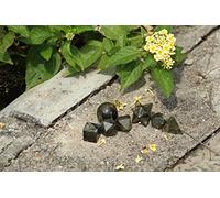 Jet International Belle A ++ Labradorite 7 pierres ensembles de géométrie sacrée pierres précieuses platoniques solide qualité supérieure Merkaba Star w/Velvet Pouch Attractive Cleansing