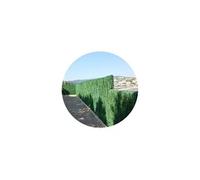 Jet7garden - Haie artificielle 110 brins vert pin en rouleau 1.8 x 3 m