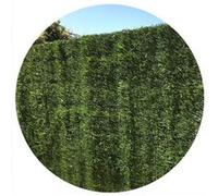 Jet7garden - Haie artificielle vert thuyas 127 brins en rouleau Europa 1.5 x 3 m (Lot de 12) Vert G