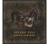 Jethro Tull – Curious Ruminant – Vinyle LP – Pochette gatefold avec livret