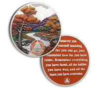 Jeton de sobriété de 9 mois d'automne - Pièces de sobriété AA et médaillon de prière de sérénité - Jeton d'anniversaire de mariage - Cadeau de sobriété pour homme et femme - Cadeau alcooliques