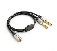 Jetstream Adaptateur Femelle Jack 3,5mm vers 2X Mâle 6,35mm, Mono Câble Audio Mini 3,5 Stereo Connecteurs, Câble 3,5mm (1/8") TRS à Double 6,35mm (1/4") TS Mâle Câble pour Mixeur Haut-Parleur (50 cm)