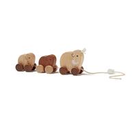 Jeu à tirer famille mammouth naturel neo