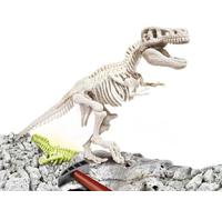 Jeu Archéo-Ludic T-Rex, Fluorescent