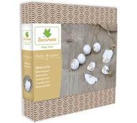 Au Sycomore – Kit de création de bijoux Atelier de Bijoux ADB002 – Ciment et Or